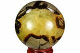 Polished Septarian Sphere - Madagascar #110665-1